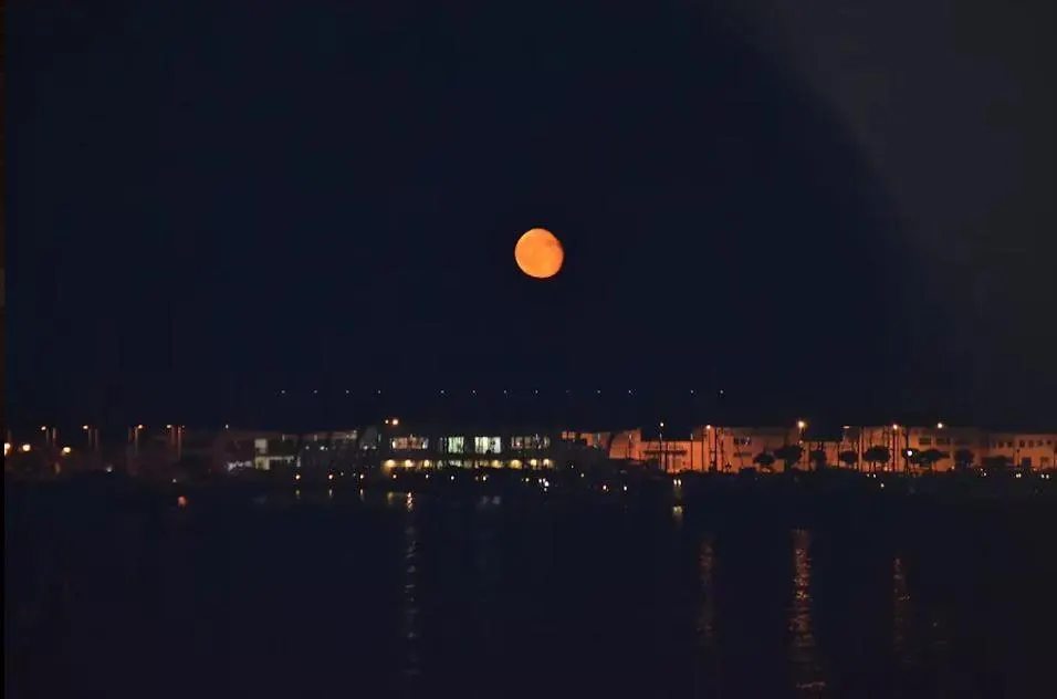Apartamento Terrassa De Mar L' Escala
